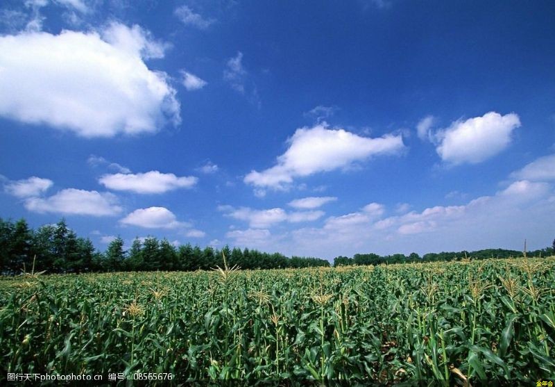 水泥砂漿防腐鋼管廠商(水泥砂漿防腐鋼管廠商有哪些)