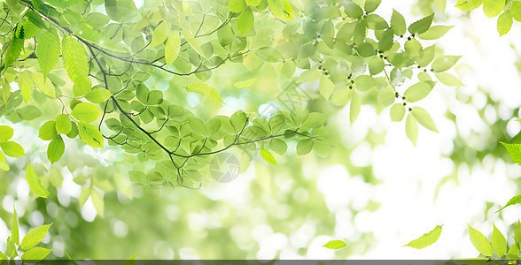 環(huán)氧粉末防腐鋼管多少錢(環(huán)氧粉末防腐螺旋鋼管)