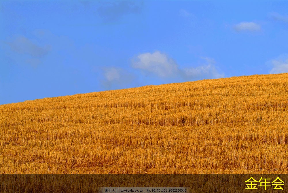 tpep防腐鋼管的供應(yīng)鏈優(yōu)化策略