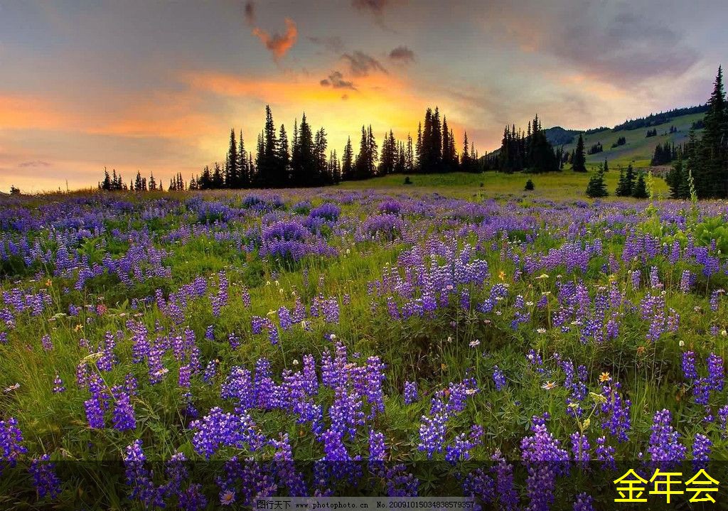 tpep防腐鋼管的供應(yīng)鏈管理