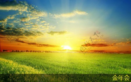 tpep防腐鋼管的市場動(dòng)態(tài)分析