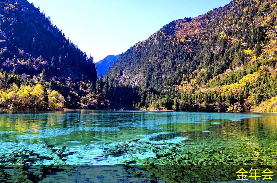 tpep防腐鋼管的市場推廣策略