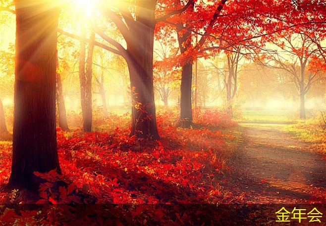 tpep防腐鋼管的市場需求預(yù)測 tpep防腐鋼管的市場需求預(yù)測