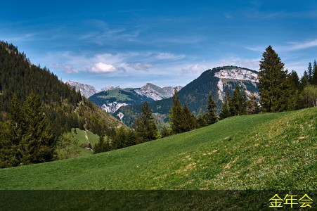 tpep防腐鋼管的技術(shù)支持與服務(wù)