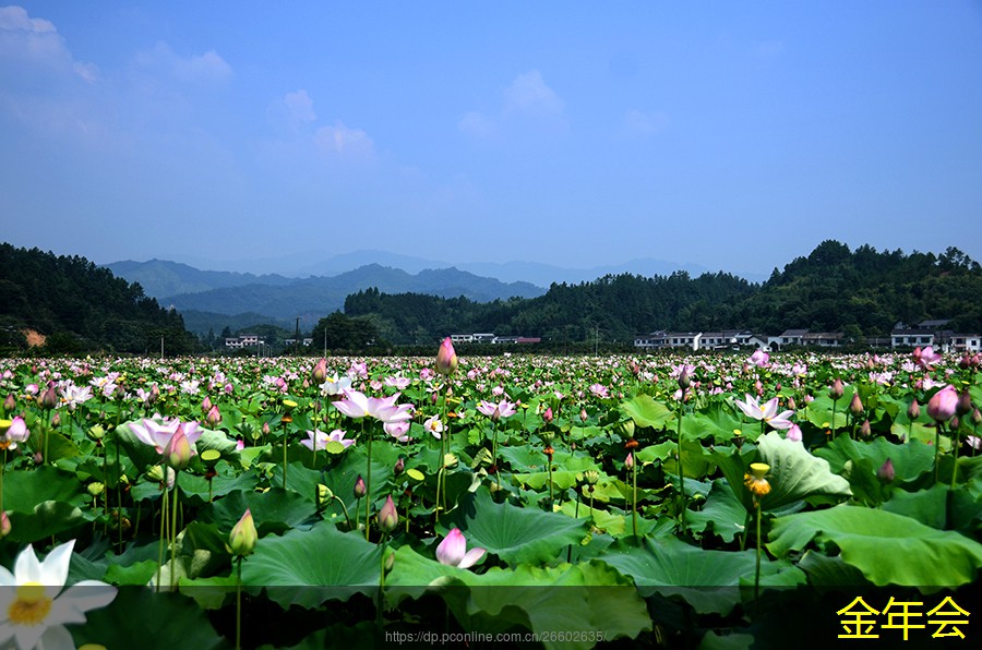 tpep防腐鋼管的施工工藝介紹 tpep防腐鋼管的施工工藝介紹