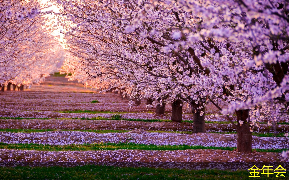 tpep防腐鋼管的施工工藝介紹 tpep防腐鋼管的施工工藝介紹