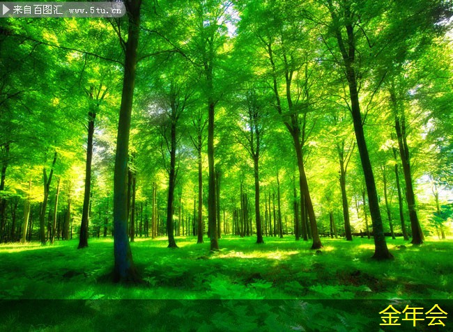 tpep防腐鋼管的生產(chǎn)流程解析 tpep防腐鋼管的生產(chǎn)流程解析