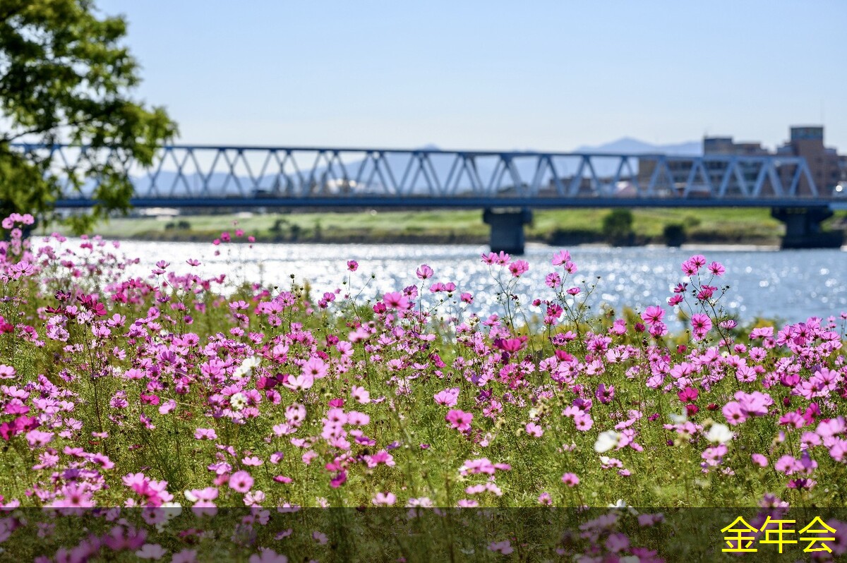 tpep防腐鋼管的維護保養(yǎng)要點 tpep防腐鋼管的維護保養(yǎng)要點