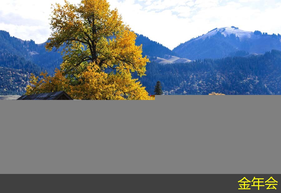 tpep防腐鋼管的行業(yè)應(yīng)用領(lǐng)域