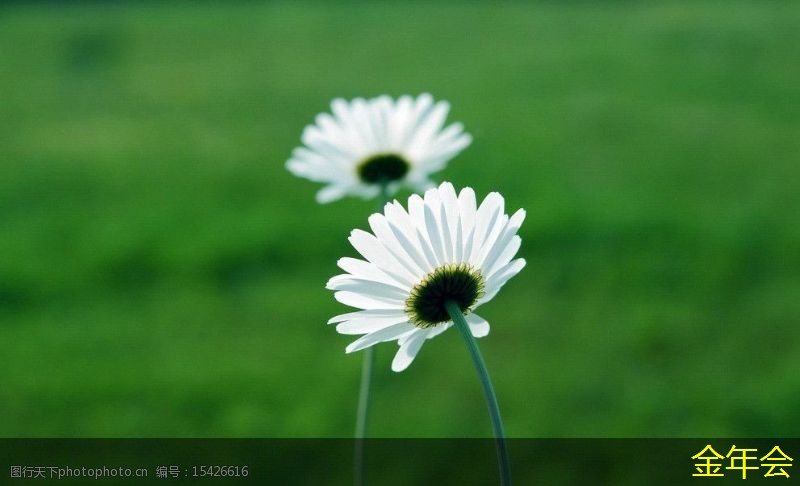 水泥砂漿防腐鋼管的市場分析