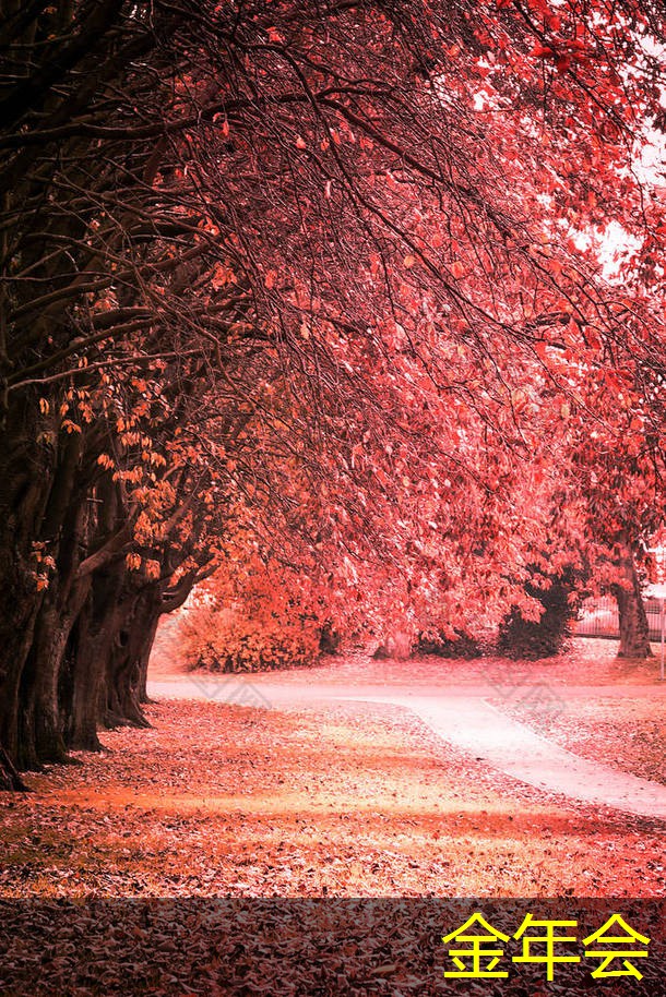 水泥砂漿防腐鋼管的市場(chǎng)需求預(yù)測(cè) 水泥砂漿防腐鋼管的市場(chǎng)需求預(yù)測(cè)