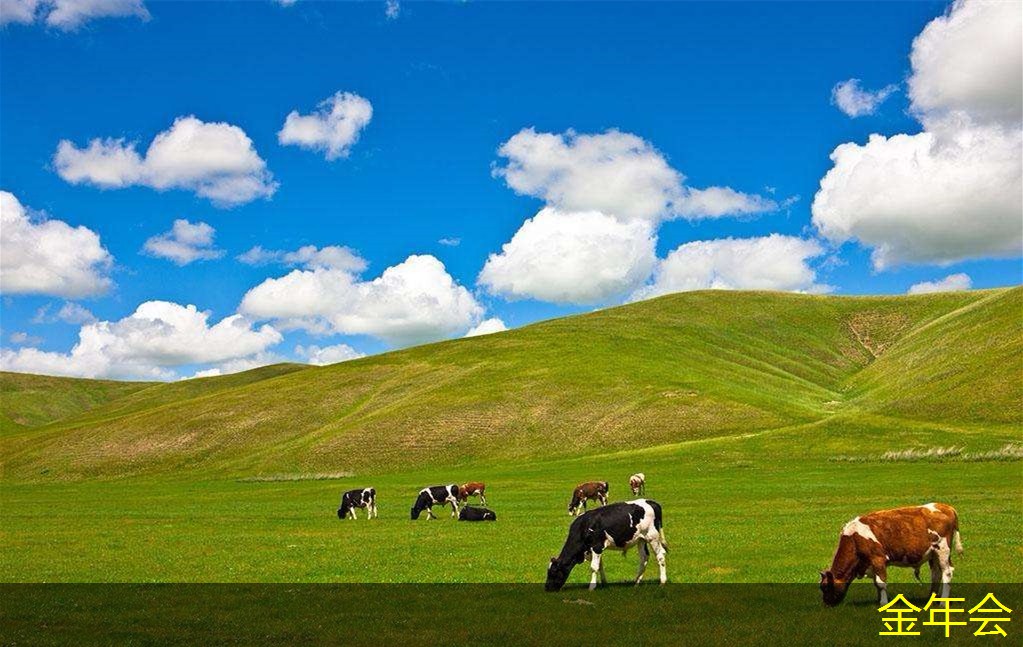 水泥砂漿防腐鋼管的技術(shù)支持服務(wù) 水泥砂漿防腐鋼管的技術(shù)支持服務(wù)