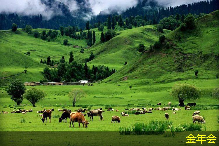 水泥砂漿防腐鋼管的耐高溫性能