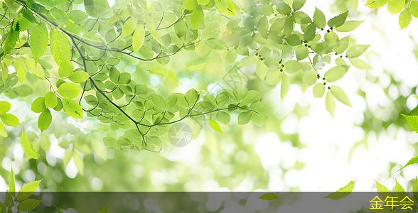 涂塑鋼管的產(chǎn)品選擇指南 涂塑鋼管的產(chǎn)品選擇指南