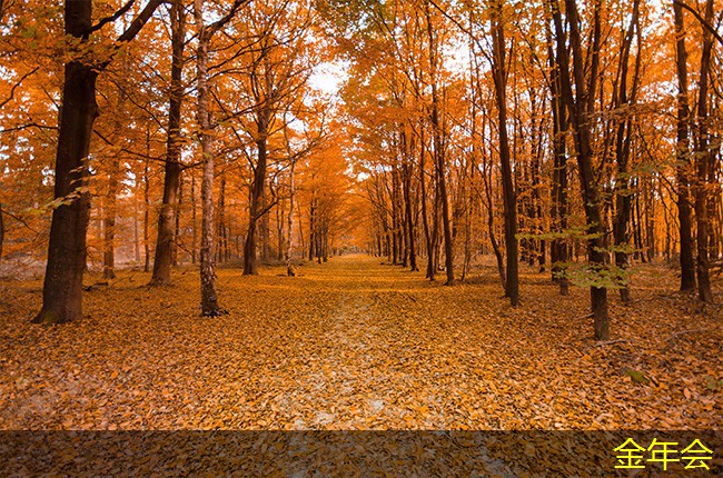 涂塑鋼管的使用環(huán)境適應(yīng)性 涂塑鋼管的使用環(huán)境適應(yīng)性