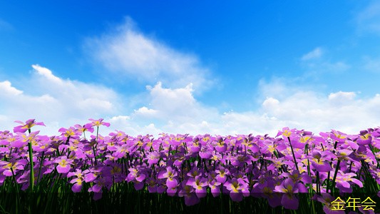 涂塑鋼管的技術(shù)參數(shù)說明