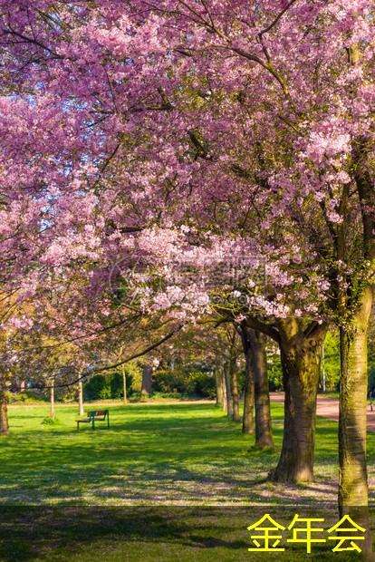 涂塑鋼管的檢驗和認證流程