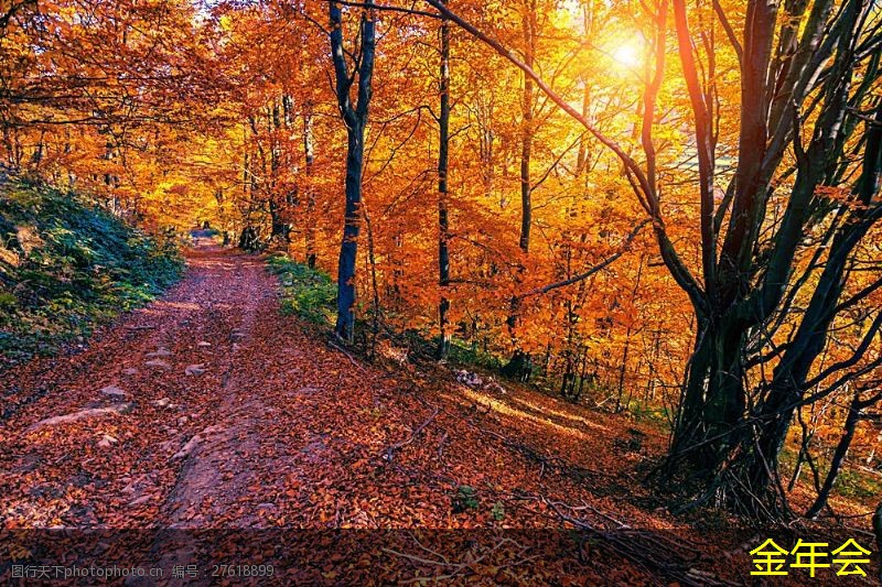 環(huán)氧煤瀝青防腐鋼管的市場(chǎng)需求變化