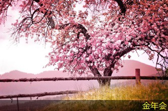 涂塑鋼管的涂層技術(shù)