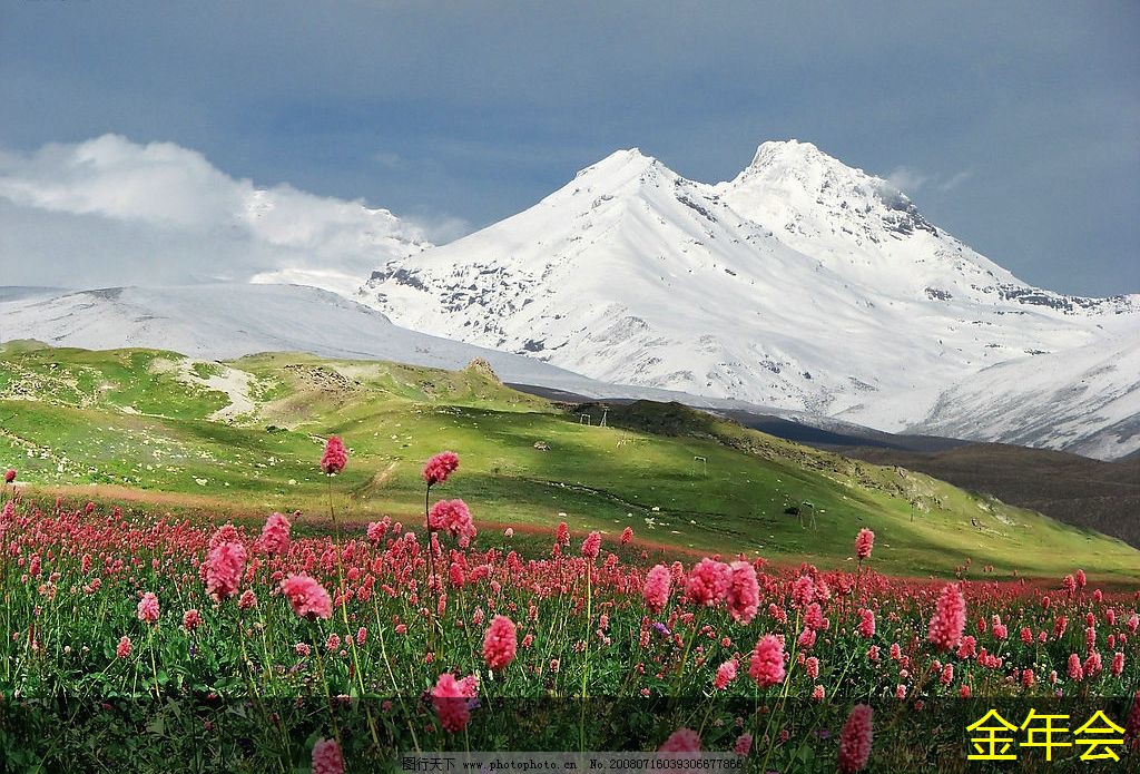 涂塑鋼管的行業(yè)應(yīng)用分析 涂塑鋼管的行業(yè)應(yīng)用分析