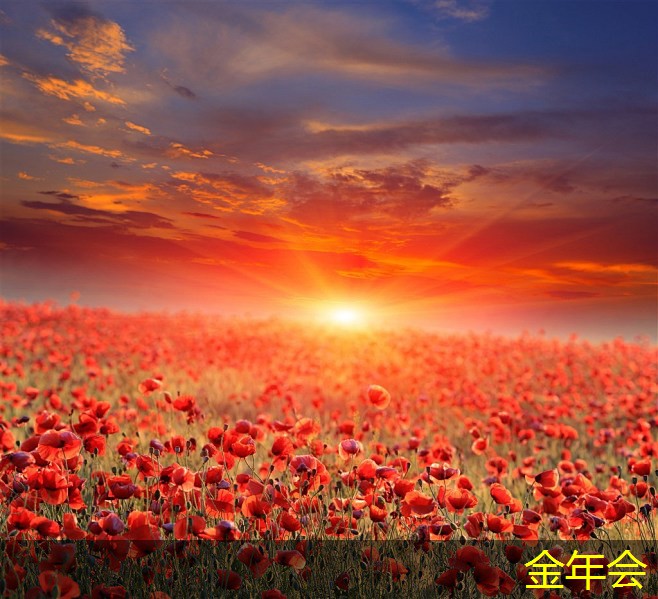 環(huán)氧煤瀝青防腐鋼管的市場行情分析