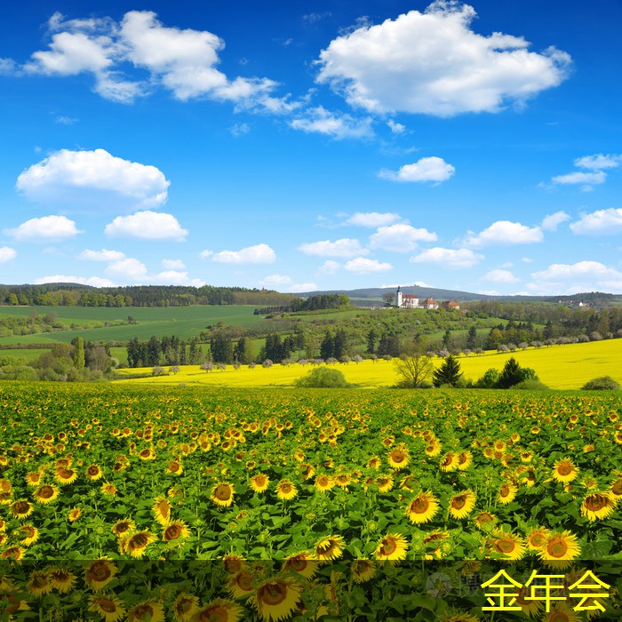 環(huán)氧煤瀝青防腐鋼管的環(huán)保政策影響