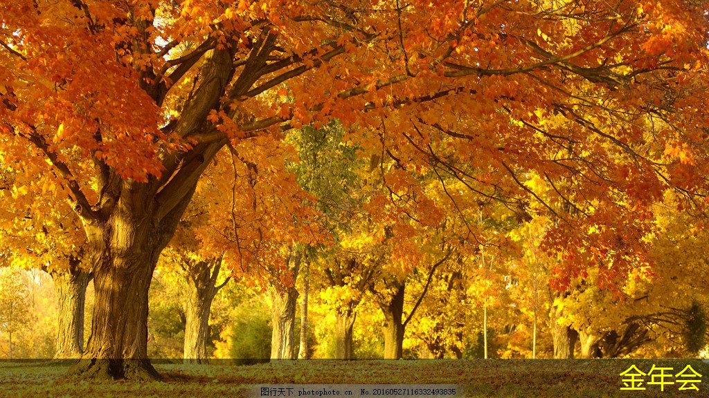 環(huán)氧煤瀝青防腐鋼管的生產(chǎn)技術(shù)與創(chuàng)新