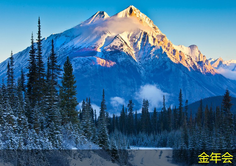 環(huán)氧煤瀝青防腐鋼管的維護(hù)與保養(yǎng)建議