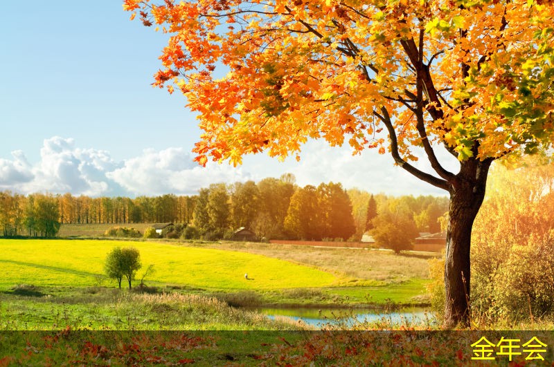 環(huán)氧煤瀝青防腐鋼管的防腐層選擇標準