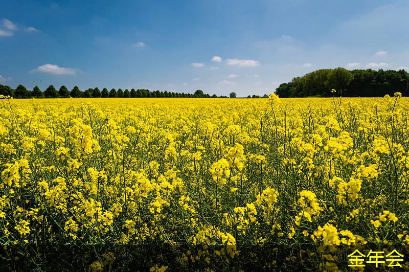 環(huán)氧煤瀝青防腐鋼管的防腐蝕技術(shù)應(yīng)用