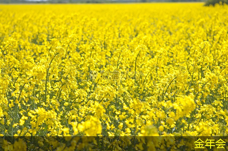 環(huán)氧粉末防腐鋼管國際市場標準對比