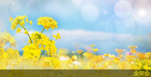 環(huán)氧粉末防腐鋼管標(biāo)準(zhǔn)化在管道施工中的實(shí)踐