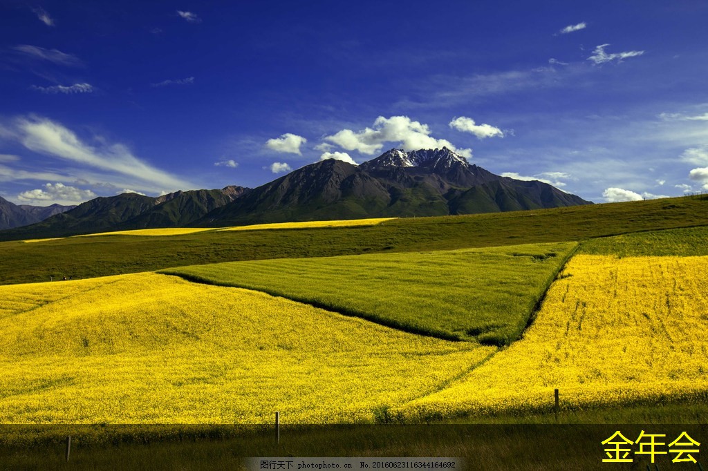 環(huán)氧粉末防腐鋼管標(biāo)準(zhǔn)在國內(nèi)外的差異 環(huán)氧粉末防腐鋼管標(biāo)準(zhǔn)在國內(nèi)外的差異