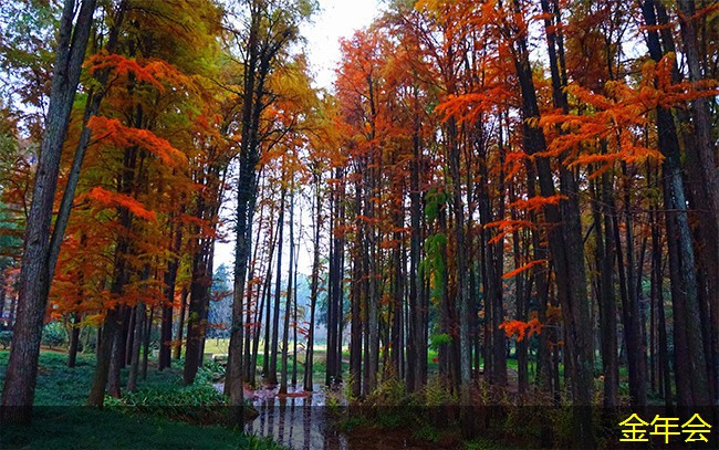 環(huán)氧粉末防腐鋼管標準在工程中的重要性