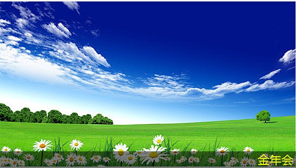 環(huán)氧粉末防腐鋼管的市場(chǎng)趨勢(shì)分析