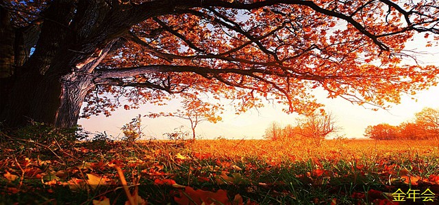 環(huán)氧粉末防腐鋼管的性能提升方案