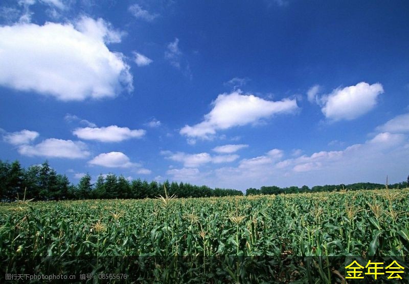 環(huán)氧粉末防腐鋼管的標準化應(yīng)用效果評估