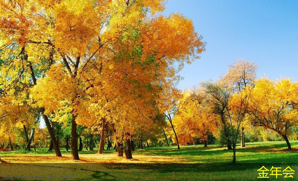 環(huán)氧粉末防腐鋼管的涂層施工工藝