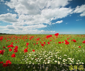 環(huán)氧粉末防腐鋼管的維護(hù)和保養(yǎng)建議