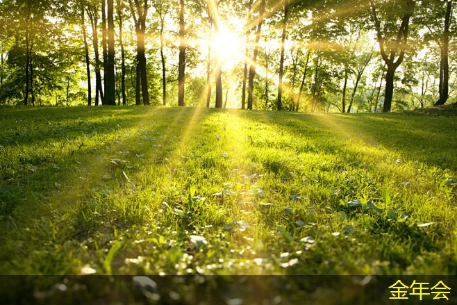 環(huán)氧粉末防腐鋼管的選用標準