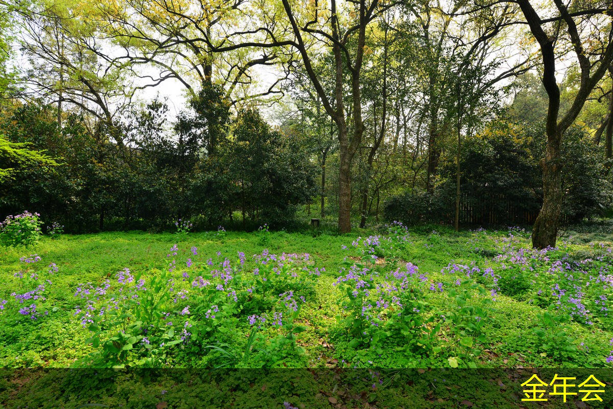 環(huán)氧粉末防腐鋼管行業(yè)標(biāo)準(zhǔn)的主要內(nèi)容