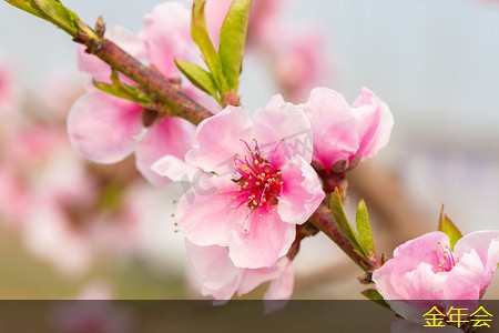 鋼套鋼保溫鋼管的保溫性能提升策略
