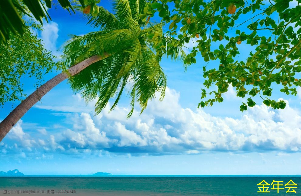 鋼套鋼保溫鋼管的市場需求調(diào)查