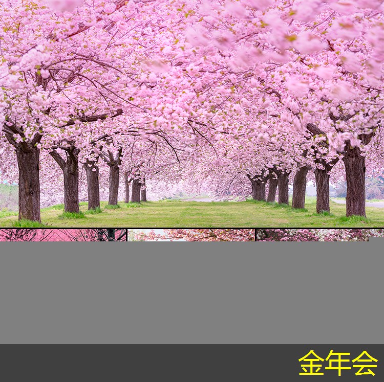 鋼套鋼保溫鋼管的技術(shù)規(guī)范介紹