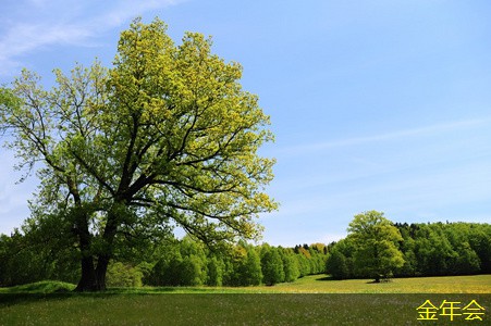 鋼套鋼保溫鋼管的防腐處理方法 鋼套鋼保溫鋼管的防腐處理方法